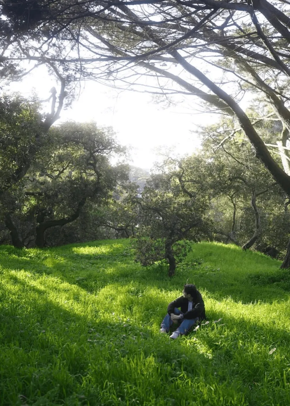 Francis sitting in a sunny grassy field under trees